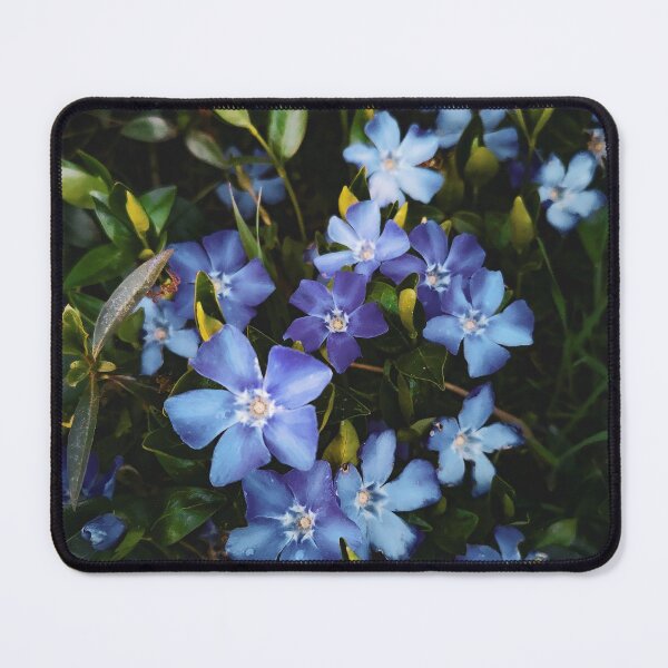 Item preview, Blue Flowers designed and sold by EvelinePatterns.
