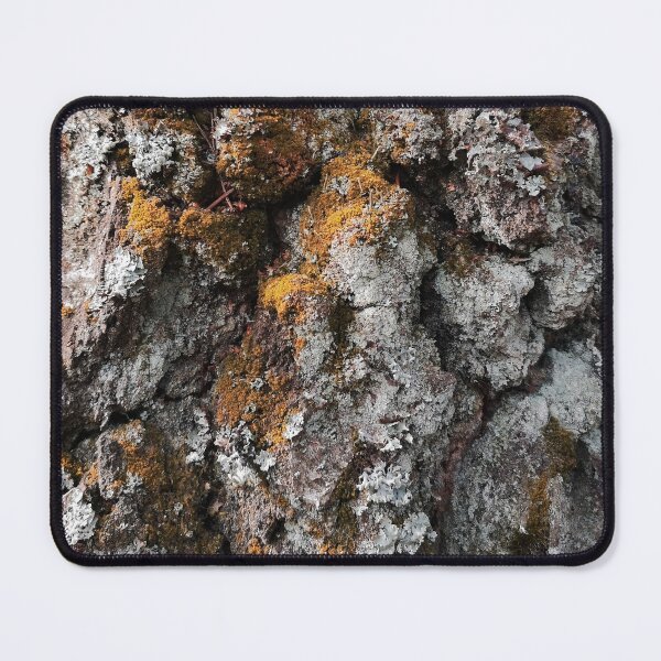 Item preview, Bark Covered With Moss Close Up designed and sold by EvelinePatterns.