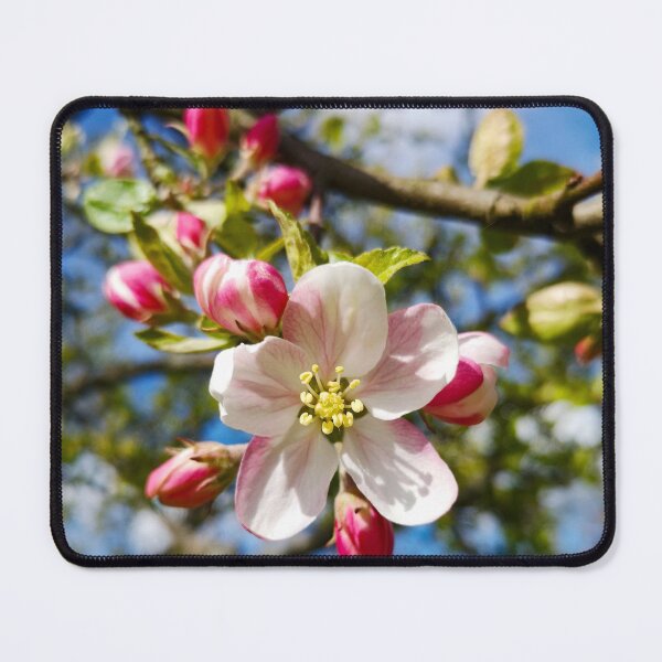 Item preview, Flowers Blooming Apple Tree At Spring Close Up designed and sold by EvelinePatterns.