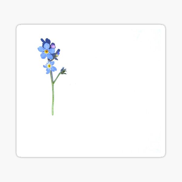 Forgetmenot Stickers Redbubble