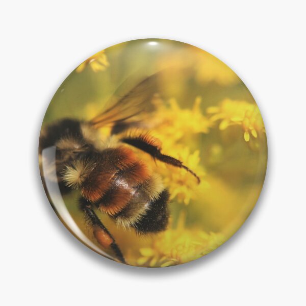 Item preview, Bumblebee (Bombus) designed and sold by Kathleen Daley.