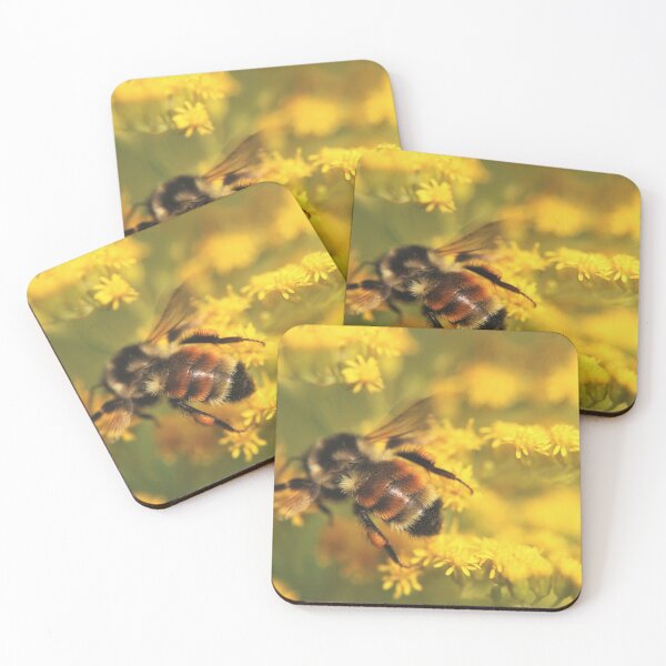 Item preview, Bumblebee (Bombus) designed and sold by Kathleen Daley.