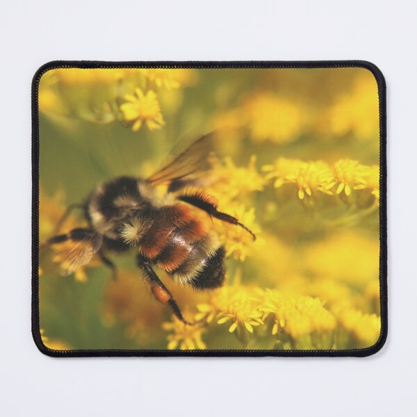 Item preview, Bumblebee (Bombus) designed and sold by Kathleen Daley.