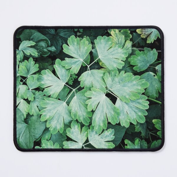 Item preview, Leafy bushes designed and sold by rkaidesigns.