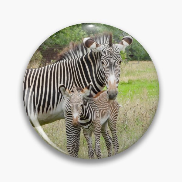 Item preview, A Beautiful Grevy Zebra With Her Adorable Foal designed and sold by Karen Thomson.