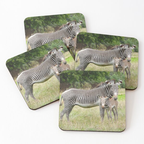 Item preview, A Beautiful Grevy Zebra With Her Adorable Foal designed and sold by Karen Thomson.