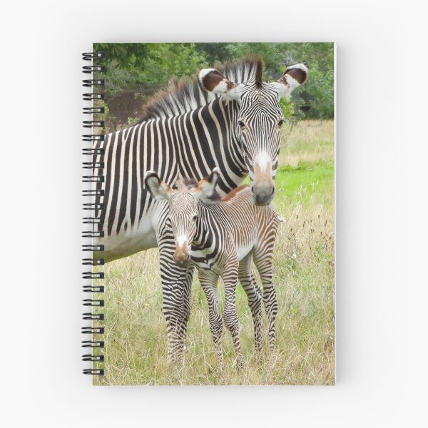 Item preview, A Beautiful Grevy Zebra With Her Adorable Foal designed and sold by Karen Thomson.