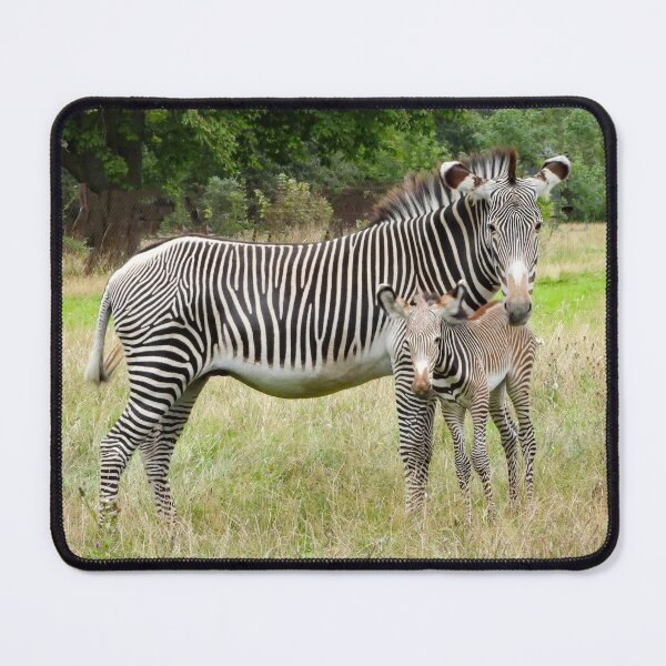Item preview, A Beautiful Grevy Zebra With Her Adorable Foal designed and sold by Karen Thomson.