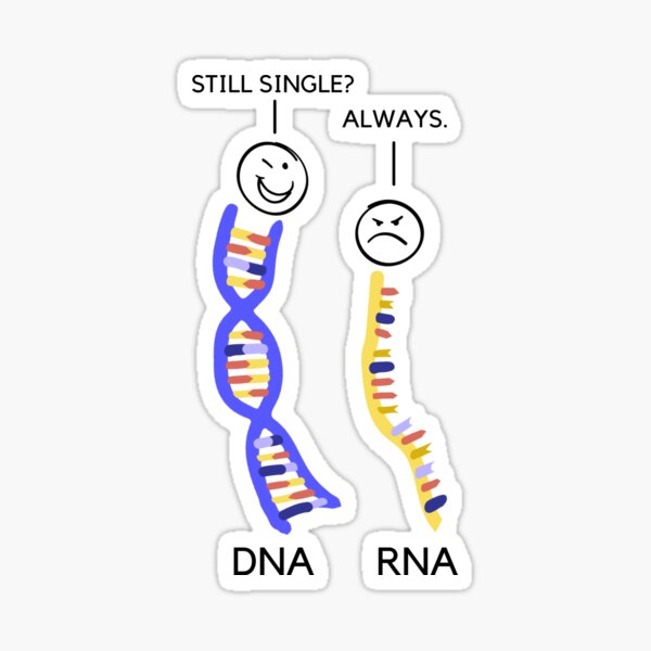 Genetics DNA And RNA Joke Glossy Sticker