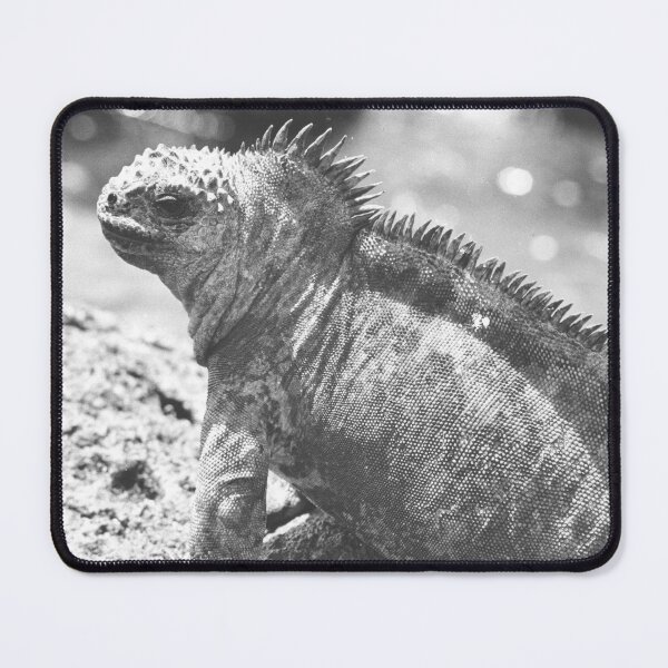 Item preview, Marine Iguana designed and sold by JerryFrank.