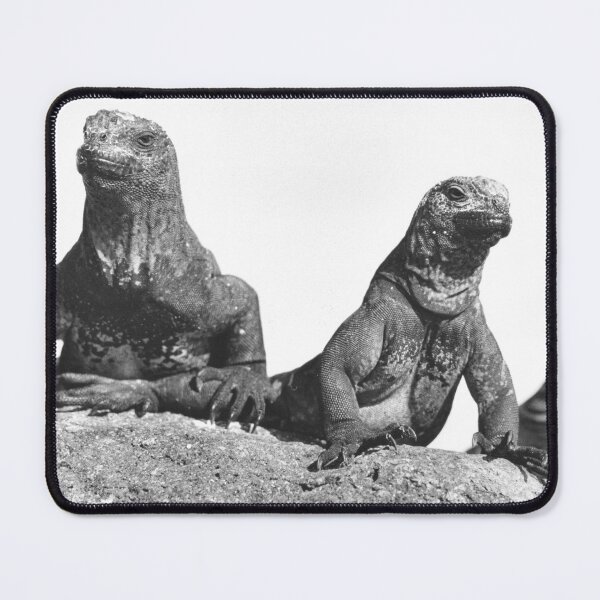 Item preview, Marine Iguana designed and sold by JerryFrank.