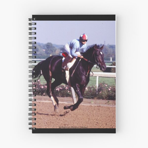 Item preview, DONNA AT BELMONT PARK  C2021 Steve Yellowbear Fine Art designed and sold by SteveYellowbear.