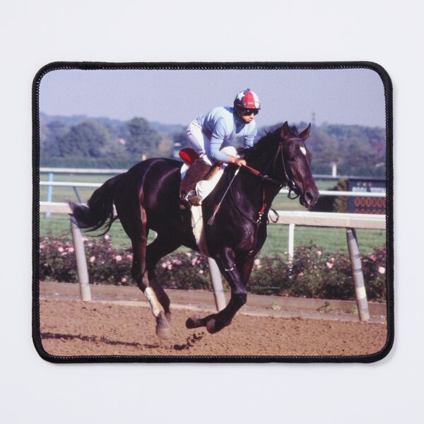 Item preview, DONNA AT BELMONT PARK  C2021 Steve Yellowbear Fine Art designed and sold by SteveYellowbear.