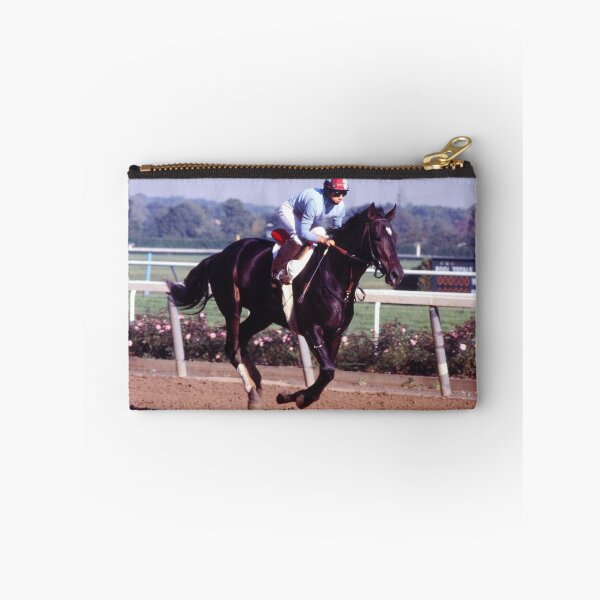 Item preview, DONNA AT BELMONT PARK  C2021 Steve Yellowbear Fine Art designed and sold by SteveYellowbear.