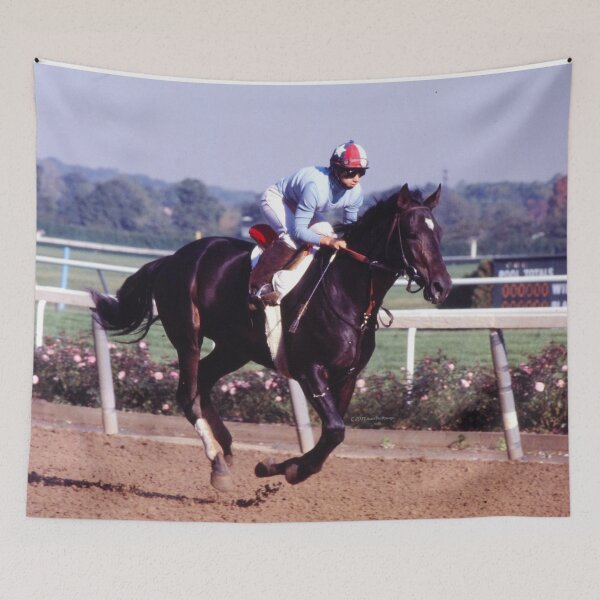 Item preview, DONNA AT BELMONT PARK  C2021 Steve Yellowbear Fine Art designed and sold by SteveYellowbear.