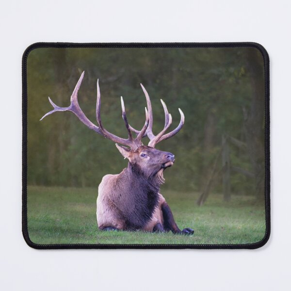 Item preview, Elk at Rest designed and sold by Kathy Weaver.