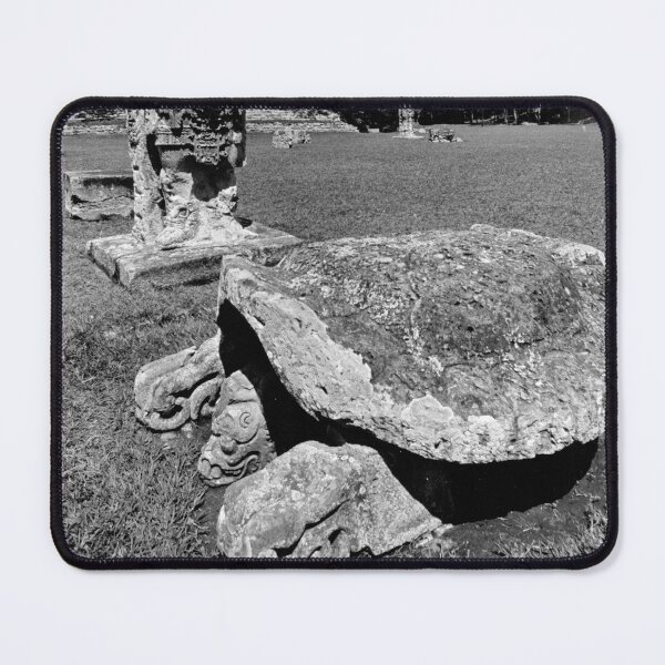 Item preview, Mayan Ruins of Copan Cosmic Turtle designed and sold by JerryFrank.