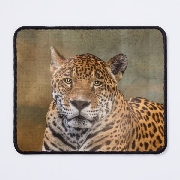 Item preview, Leopard Staredown designed and sold by Kathy Weaver.