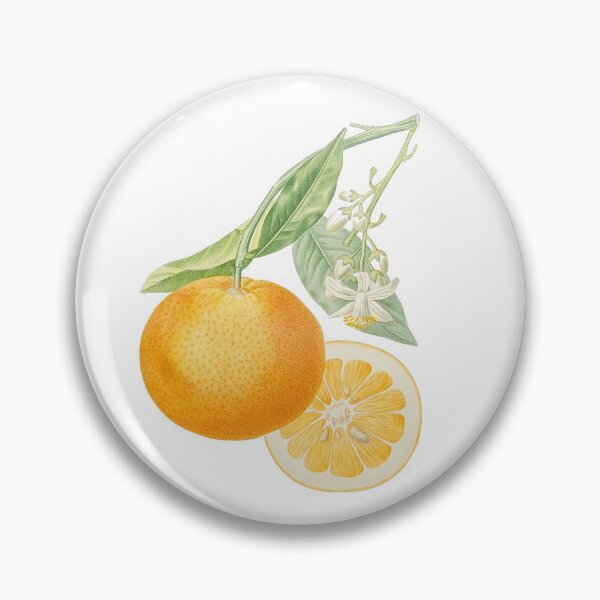 Item preview, Orange branch and orange blossom designed and sold by Anaïs Delhorbe.