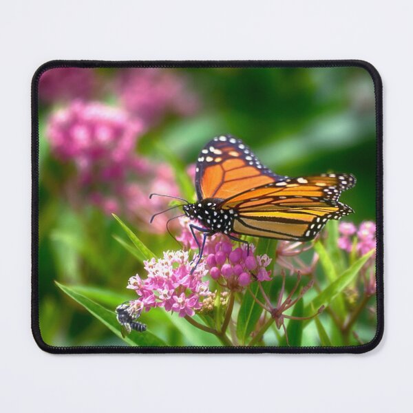 Item preview, Open Wing Monarch designed and sold by Kathy Weaver.