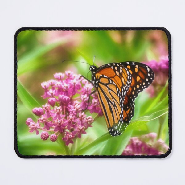Item preview, Monarch Butterfly designed and sold by Kathy Weaver.
