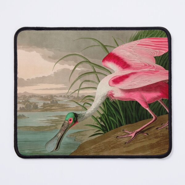 Item preview, Roseate Spoonbill Birds of America Audubon Illustration Bird Lovers Gift designed and sold by VintageArchive.