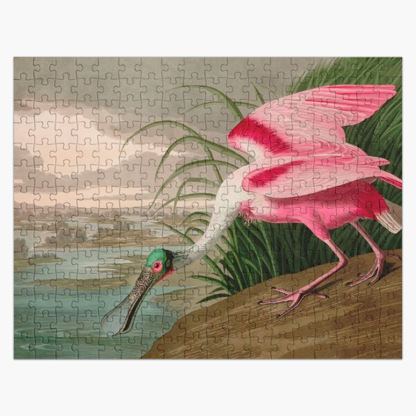 Item preview, Roseate Spoonbill Birds of America Audubon Illustration Bird Lovers Gift designed and sold by VintageArchive.