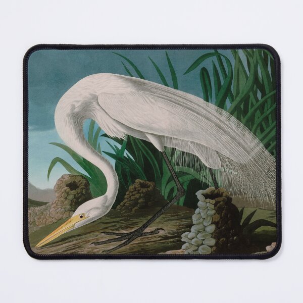 Item preview, White Heron Birds of America Audubon Illustration Bird Lovers Gift designed and sold by VintageArchive.