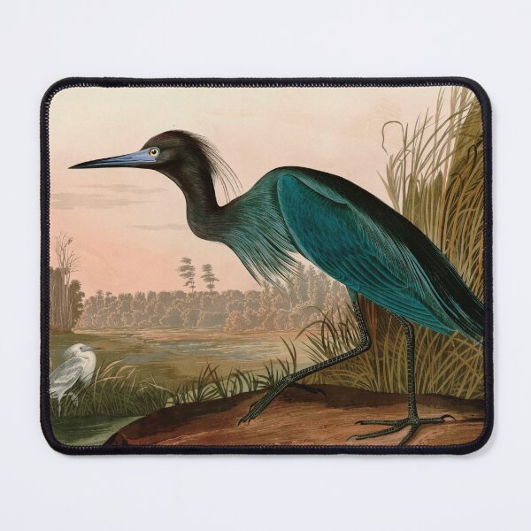 Item preview, Blue Crane or Heron Birds of America Audubon Illustration Bird Lovers Gift designed and sold by VintageArchive.