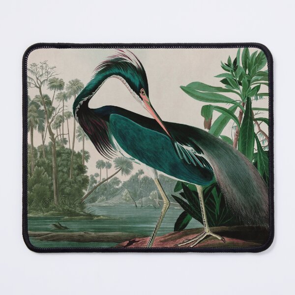 Item preview, Louisiana Heron Birds of America Audubon Illustration Bird Lovers Gift designed and sold by VintageArchive.