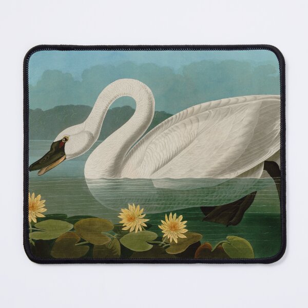 Item preview, Common American Swan Birds of America Audubon Illustration Bird Lovers Gift designed and sold by VintageArchive.