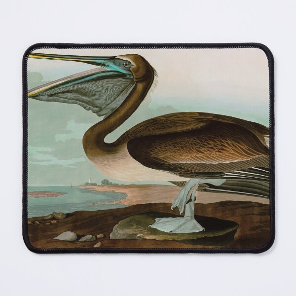 Item preview, Brown Pelican Birds of America Audubon Illustration Bird Lovers Gift designed and sold by VintageArchive.