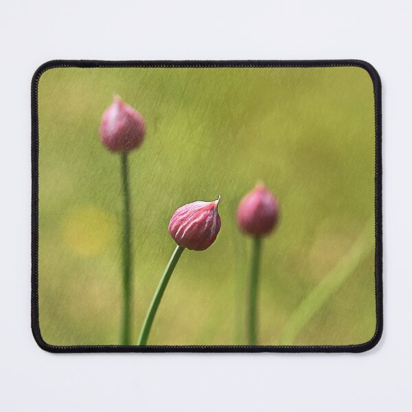 Item preview, Chives designed and sold by Kathy Weaver.