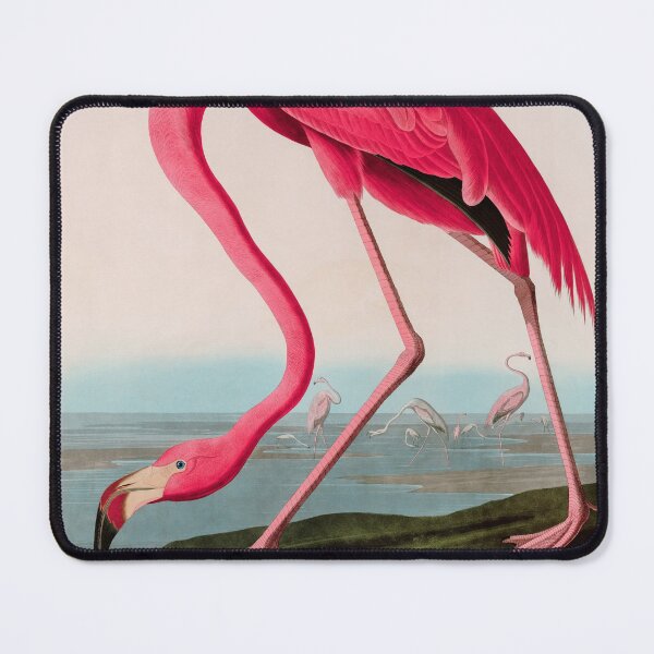 Item preview, Birds of America Audubon American Flamingo Illustration Bird Lovers Gift designed and sold by VintageArchive.
