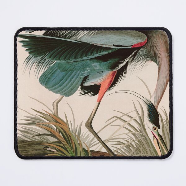 Item preview, Birds of America Audubon Great Blue Heron Illustration Bird Lovers Gift designed and sold by VintageArchive.