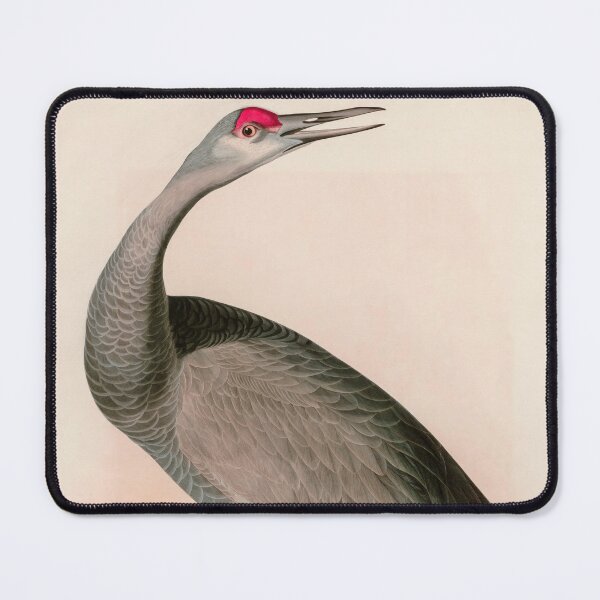 Item preview, Birds of America Audubon Hooping Crane Illustration Bird Lovers Gift designed and sold by VintageArchive.