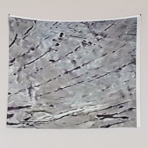 Item preview, TREE STUMP designed and sold by Coolklaset.