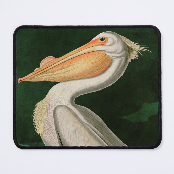 Item preview, Birds of America Audubon American White Pelican Illustration Bird Lovers Gift designed and sold by VintageArchive.