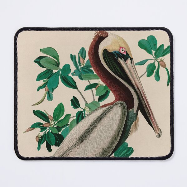 Item preview, Birds of America Audubon Brown Pelican Illustration Bird Lovers Gift designed and sold by VintageArchive.