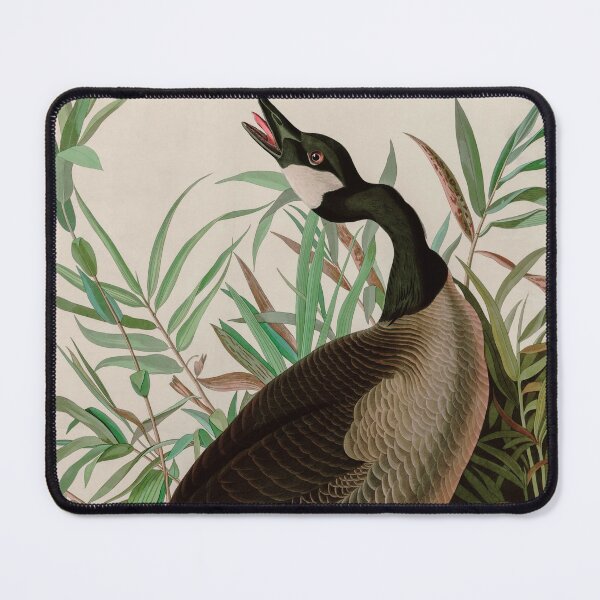 Item preview, Birds of America Audubon Canada Goose Illustration Bird Lovers Gift designed and sold by VintageArchive.