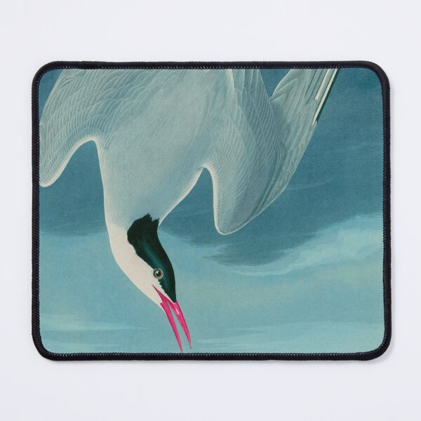 Item preview, Birds of America Audubon Arctic Tern Illustration Bird Lovers Gift designed and sold by VintageArchive.
