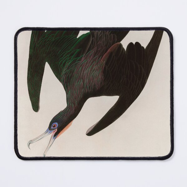 Item preview, Birds of America Audubon Frigate Pelican Illustration Bird Lovers Gift designed and sold by VintageArchive.