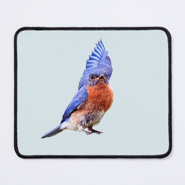 Item preview, Friendly Bluebird designed and sold by Kathy Weaver.