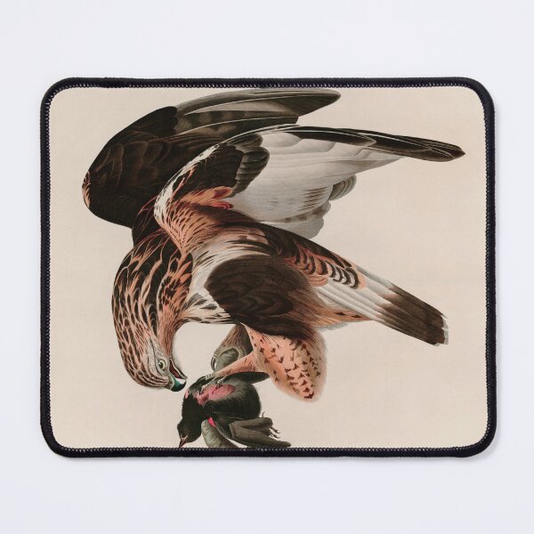 Item preview, Birds of America Audubon Rough-legged Falcon Illustration Bird Lovers Gift designed and sold by VintageArchive.