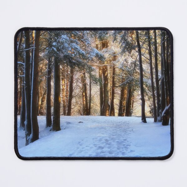 Item preview, Winter Morning in the Woods - Blackwater Falls State Park - WV designed and sold by Kathy Weaver.