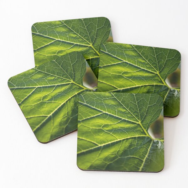 Item preview, Plant Life Photography  designed and sold by ariellevictoria.