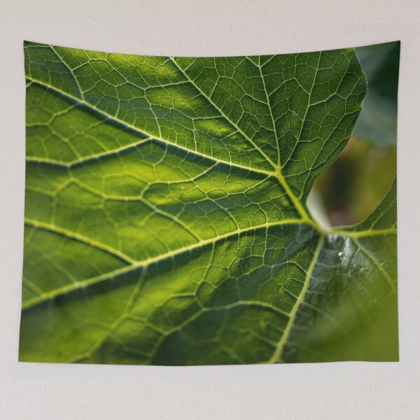 Item preview, Plant Life Photography  designed and sold by ariellevictoria.