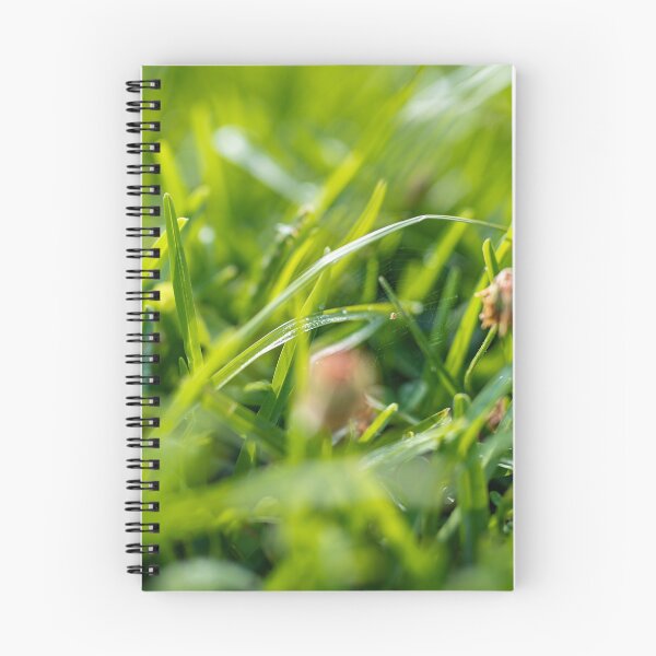 Item preview, Tiniest Spider in Nature Photography  designed and sold by ariellevictoria.