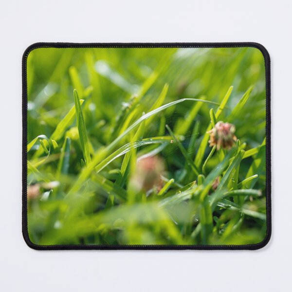 Item preview, Tiniest Spider in Nature Photography  designed and sold by ariellevictoria.