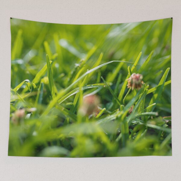 Item preview, Tiniest Spider in Nature Photography  designed and sold by ariellevictoria.
